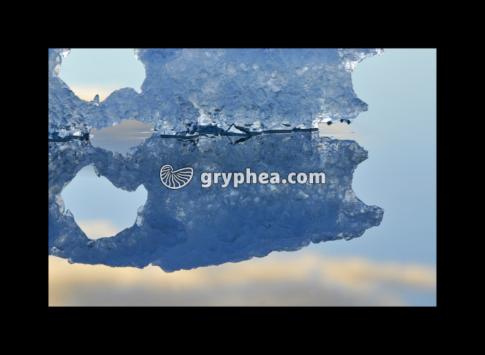 Reste d'un fragment de glacier (Jökulsarlon, Islande) - gryphea.com